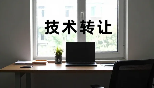 实际操作中的软件平台定制部署流程解析